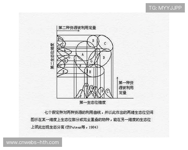 生态位竞争推动平台差异化发展 生态位竞争推动平台差异化发展